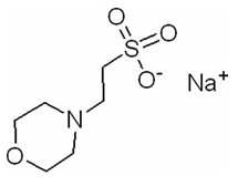 CAS 71119-23-8 MES-NA 2-(N-Morfolino)Etansülfonik Asit Sodyum Tuzu