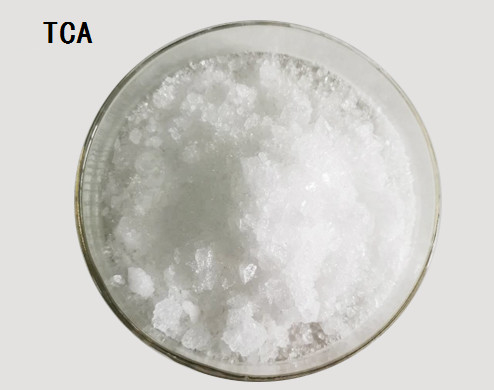 CAS 302-17-0 Kloral Hidrat (TCA) C2H3Cl3O2