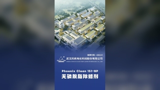 Phoenix Clean 151 NP Ağda Giderici Yağ Giderici